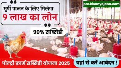 Poultry Farming Loan Yojana